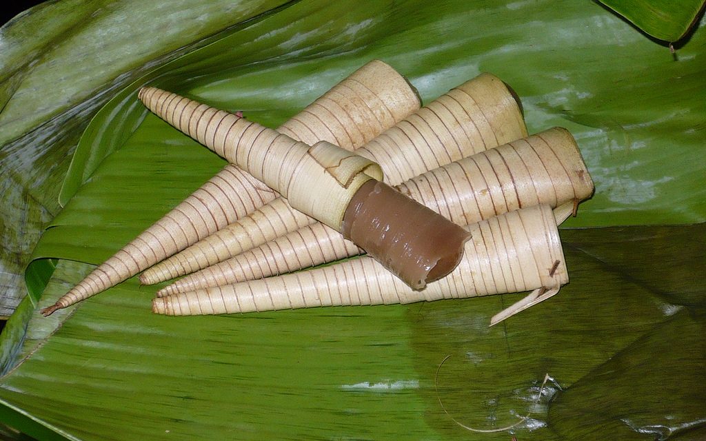 Kue Celorot Khas Purworejo: Berbentuk Terompet Daun Kelapa