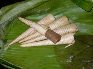 Kue Celorot Khas Purworejo: Berbentuk Terompet Daun Kelapa