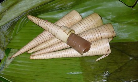 Kue Celorot Khas Purworejo: Berbentuk Terompet Daun Kelapa