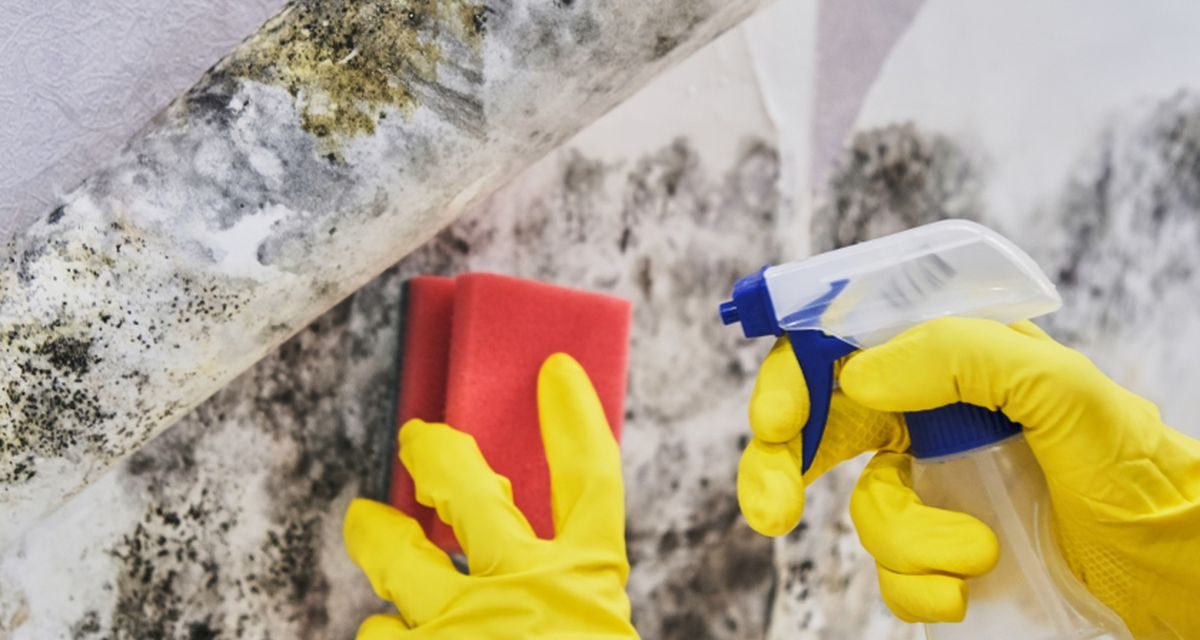 Trik Kamar Mandi Bebas Jamur Dengan Bahan Dapur Sederhana