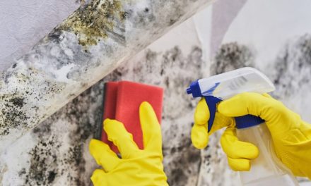 Trik Kamar Mandi Bebas Jamur Dengan Bahan Dapur Sederhana