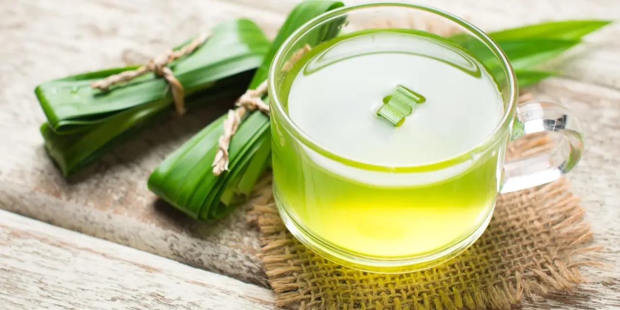 Teh Daun Pandan Hangat: Tren Minuman Penenang Stres